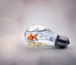 Сегодня, 14 августа, более 30 улиц Астрахани останутся без света