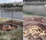 Все тополя на Лебедином озере спилят в сентябре