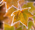 В Астраханской области ожидается резкое похолодание