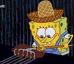 Астраханские животноводы не досчитались яиц, а с шерстью порядок