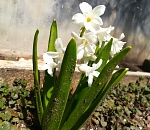 Туман и +21° обещают астраханцам в пятницу