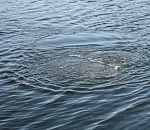 Под Астраханью мужчина утонул на глазах у родных и знакомых