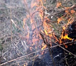 В Астраханской области объявили штормовое предупреждение из-за чрезвычайной пожароопасности