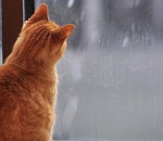 Синоптики обещают астраханцам прохладный День защитника Отечества