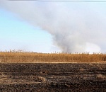 Гринпис спешит на помощь! Астраханцев научат быть степными пожарными 