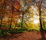 В субботу в Астрахани прогнозируют теплую погоду