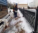 Из-за непогоды в Астрахани произошло более 40 повреждений на сети уличного освещения