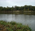 Невероятно пугающая находка обнаружена рыбаками в Астраханской области