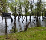 В Астрахани браконьеры оккупировали обливной остров