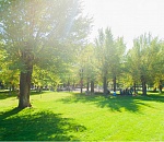  В Астрахани открылся Студенческий парк