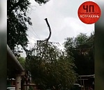 Вчера из-за шквалистого ветра в Астрахани случился настоящий деревопад