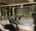 В Астраханской области пограничный спецназ задержал рыбную ОПГ