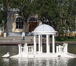 Один из четырех лебедей улетел с Лебединого озера 