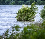 Уровень воды в Волге - рекордно высокий и продолжает расти 