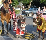В Астрахани борются с катанием на лошадях по центральным улицам