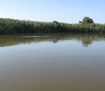 19-летний астраханец едва не утонул на глазах очевидцев