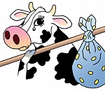 Астраханских фермеров наказали за коров, гуляющих самих по себе