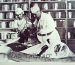 Виртуальную выставку архивных документов ко Дню рыбака открыл астраханский госархив