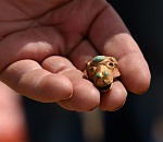 Фермеру, на земле которого нашли золото сарматов, даже грамоты не дали