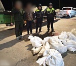 Астраханские автоинспекторы остановили иномарку, которая везла в Воронеж части осетровых и черную икру