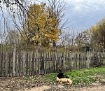 В понедельник в Астраханскую область придёт северный ветер 