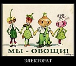 Встреча с электоратом у подъезда – тоже митинг, который надо согласовать?