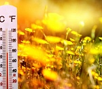 Завтра в Астрахани лето вновь сыграет на понижение  жары