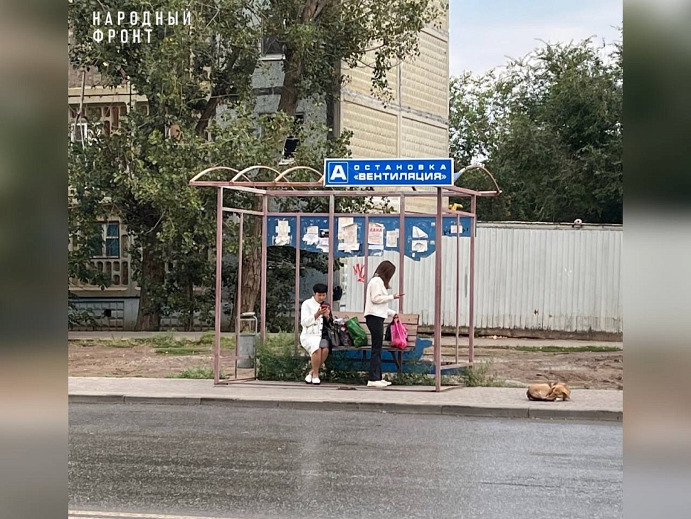 Астраханцы поделились фотографией самой бестолковой остановки в городе