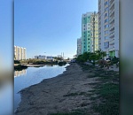  Администрация Астрахани должна заплатить 5-миллионный штраф за вред экологии