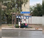 Астраханцы поделились фотографией самой бестолковой остановки в городе