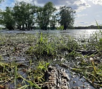 В Астраханской области начинается пик весеннего половодья