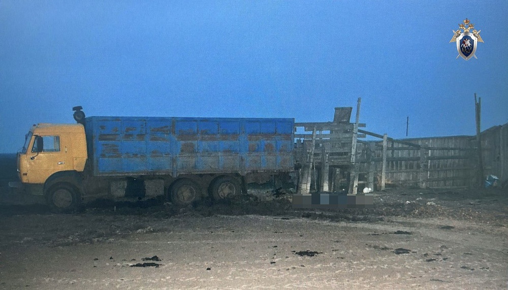 Коровы насмерть затоптали работника на чабанской точке в Астраханской области 