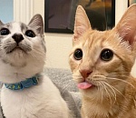 Федеральные эксперты считают Астраханскую область устойчивой и стабильной