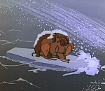 Под Астраханью льдинами зажало троих рыбаков