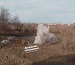 В Астраханской области нашли чудо природы