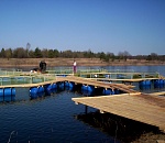 Астраханские рыбоводные участки выставят на аукционы