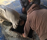 В Астрахани собачка провалилась в трюм брандвахты: видео спасения