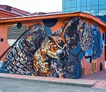 Астрахань и астраханцы. Город красен будками и заборами