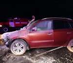 Корова стала причиной ДТП в Астраханской области: есть пострадавшая