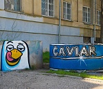 В Астрахани появился герой Жора