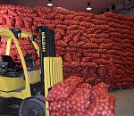 В Астраханской области планируется заложить на хранение около 130 тысяч тонн овощей и картофеля 