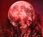 Сегодня ночью над Астраханью взойдет "кровавая Луна"