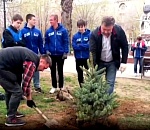 В центре Астрахани высадили московские ели