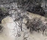 Астраханцы могут помочь пострадавшим от наводнения в Дагестане через приложение Мой МТС