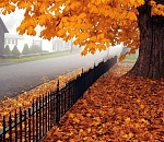 Астраханцев ждет прохладная неделя