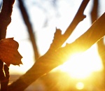 В четверг в Астрахани немного похолодает