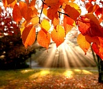 Сегодня в Астрахани синоптики не прогнозируют ничего. Будет солнечно