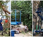 В Астрахани из-за непогоды коммунальные службы устранили последствия падения  18 деревьев