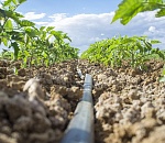 В Астраханской области начали производить свою ленту капельного орошения