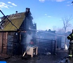 Под Астраханью крупный пожар тушили полтора часа